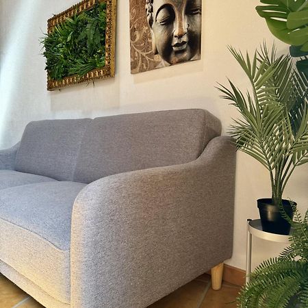 Pensjonat Casa Sao Sebastiao Casas Bem Haja São Miguel de Acha Zewnętrze zdjęcie